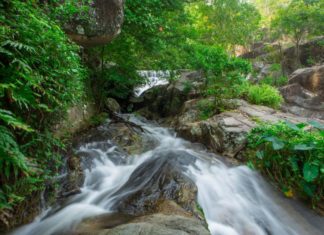 THAÏLANDE – TOURISME: Ces scandinaves qui ont adopté un village thaïlandais