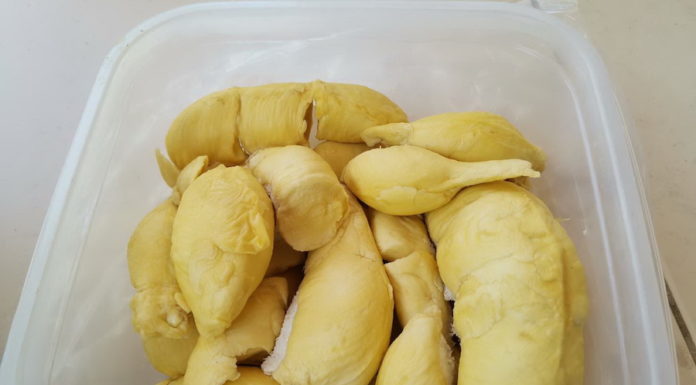 Durian fruit de Thaïlande