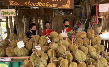 THAÏLANDE – ÉCONOMIE : L’inflation continue de reculer, un signe d’essoufflement de l’économie ?