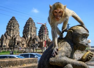 THAILANDE – TOURISME: Lopburi, une nouvelle destination à découvrir pour TAT