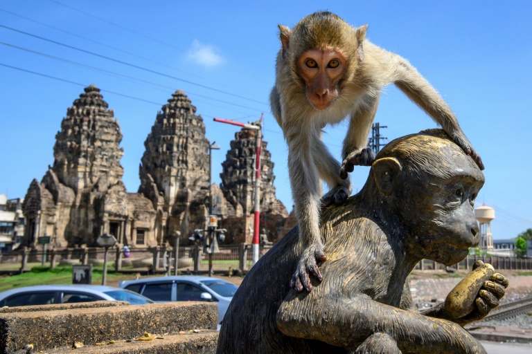 THAILANDE – TOURISME: Lopburi, une nouvelle destination à découvrir pour TAT