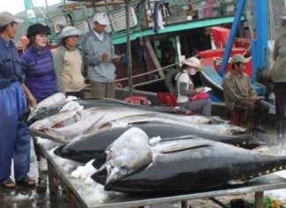 VIETNAM – UNION EUROPEENNE: Le 1er août, l’accord de libre-échange avec l’UE entrera en vigueur