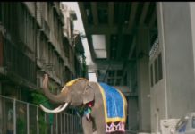 EDITORIAL: A la Une du magazine de juillet !