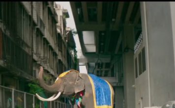 EDITORIAL: A la Une du magazine de juillet !