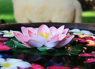 THAILANDE – TOURISME: 39 millions de visiteurs en Thaïlande 2018, de quoi se réjouir et s’inquiéter.