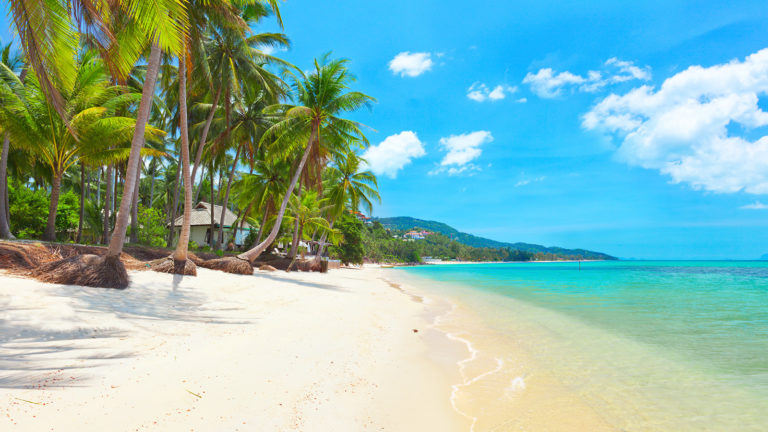 KOH SAMUI – TOURISME : L’île de Samui fait son (maigre) bilan de l’opération « bac à sable »