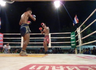 THAÏLANDE – CHRONIQUE : « Muay-thaï : cinquième round »