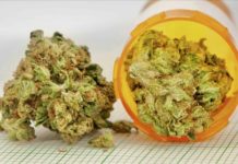 cannabis médical Thaïlande