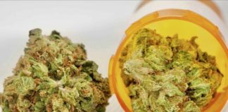 cannabis médical Thaïlande