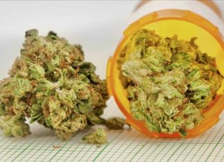 cannabis médical Thaïlande