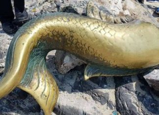 THAÏLANDE – SOCIETE: Des engins explosifs retrouvés à Songkhla