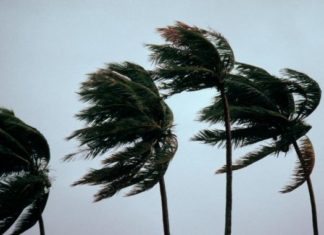 THAILANDE – TEMPÊTE PABUK: Retour à la normale dans les zones touristiques de Thaïlande