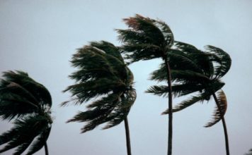 THAÏLANDE – MÉTÉO : Le typhon Kajiki menace le nord et le nord-est du pays