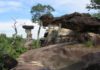 THAILANDE – ECOTOURISME: Vert espoir ou vers déboires?