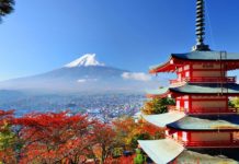 JAPON: Des immigrés pour remplacer et épauler les retraités japonais ?