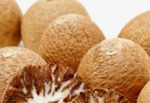 BIRMANIE – SOCIETE: La bataille du bétel