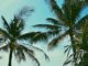 RETRAITE EN THAÏLANDE: Demain, Phuket avant Bangkok et Pattaya ?