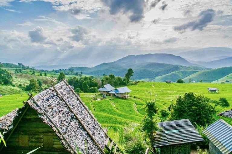 CAMBODGE – FRANCE : 2021, année de la coopération agricole franco-cambodgienne