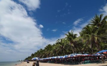 THAÏLANDE – POLLUTION: La plage de Bang Saen polluée par les déchets de Bangkok