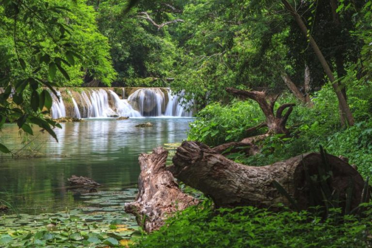 THAÏLANDE – TOURISME: Les cinq parcs nationaux thaïlandais à ne pas rater sont….