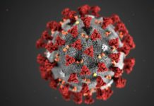 coronavirus