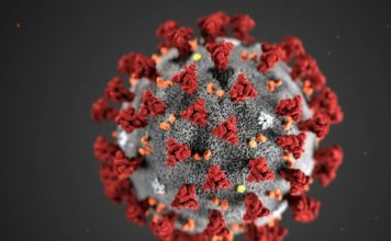 THAÏLANDE – CORONAVIRUS: Au 14 avril, la Thaïlande compte 2613 personnes infectées et 41 morts du Covid 19 coronavirus