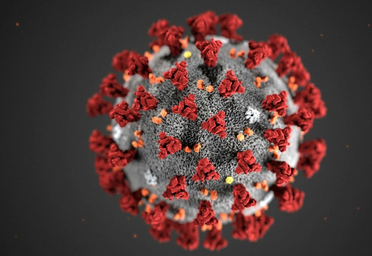 CORÉE DU SUD – CORONAVIRUS: Tout savoir sur la stratégie coréenne d’éradication du Covid 19