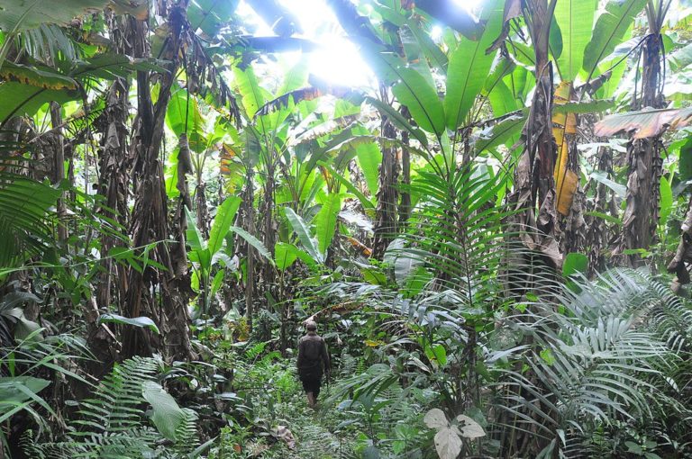 LAOS – FRANCE: La biodiversité laotienne, une affaire française et européenne