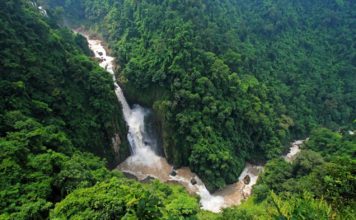 THAÏLANDE – TOURISME: Plus de «tarifs farangs» dans les parcs nationaux thaïlandais ! parc Khao Yai