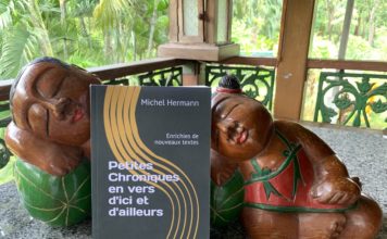 THAÏLANDE – CHRONIQUES : Un recueil de poèmes pour dire les coulisses du Siam Livre Michel-Hermann