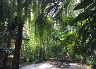 BANGKOK – CULTURE: Un Musée de l’Art floral hautement spirituel