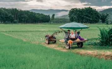 THAÏLANDE- TOURISME: Ban Tha Khanthong à Chiang Rai, village modèle du tourisme rural