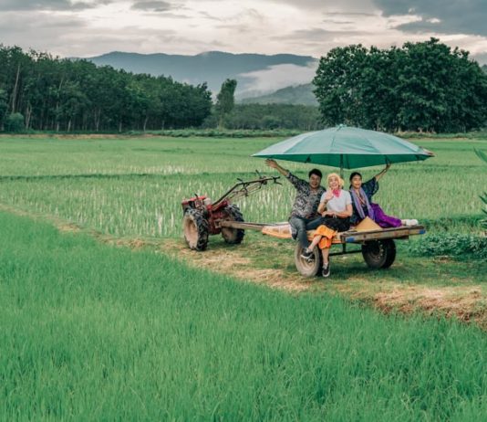 THAÏLANDE- TOURISME: Ban Tha Khanthong à Chiang Rai, village modèle du tourisme rural