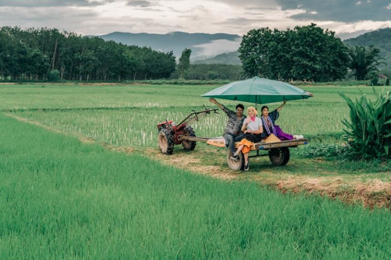 THAÏLANDE- TOURISME: Ban Tha Khanthong à Chiang Rai, village modèle du tourisme rural
