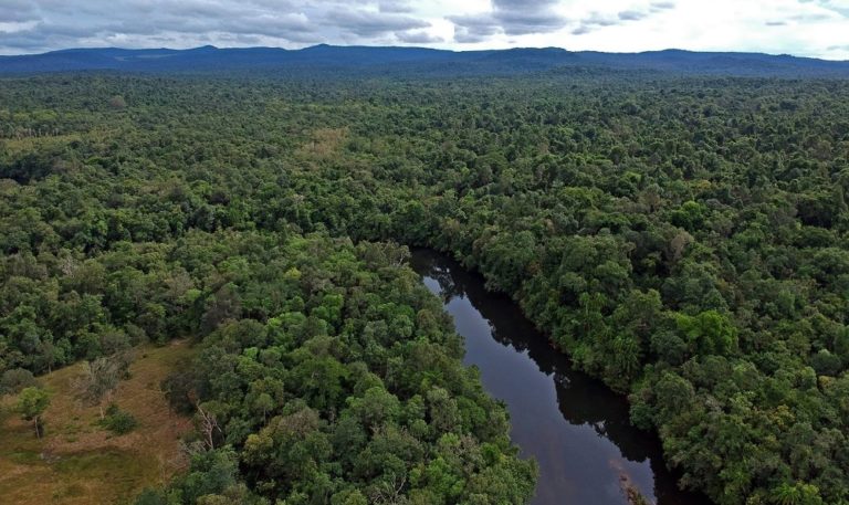 CAMBODGE – ENVIRONNEMENT: Des journalistes attaqués pour avoir enquêté sur des crimes forestiers