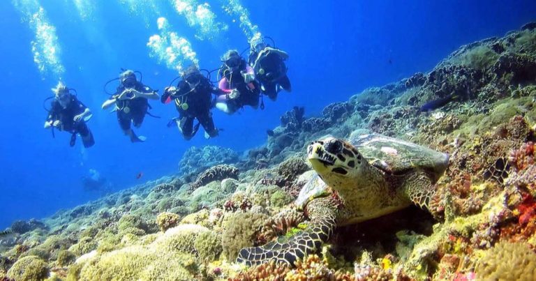 THAÏLANDE – TOURISME: La plongée est aussi l’art du masque !