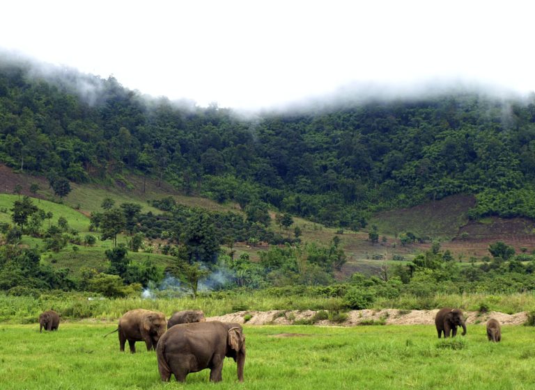 CAMBODGE EXPRESS- ACTUALITÉS: Nouvelles brèves du royaume du 5 au 12 octobre