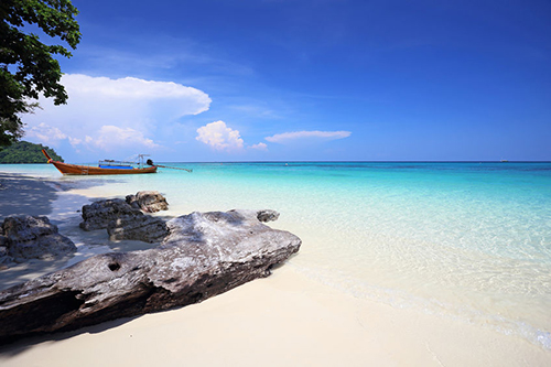 THAÏLANDE – ENVIRONNEMENT: Plus de touristes, trop de bernard-l’ermite sur les plages