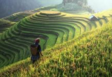 sapa vietnam