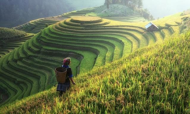 VIETNAM – TOURISME: La réouverture du pays aux visiteurs étrangers est engagée sapa vietnam