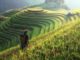 VIETNAM – TOURISME: La réouverture du pays aux visiteurs étrangers est engagée sapa vietnam