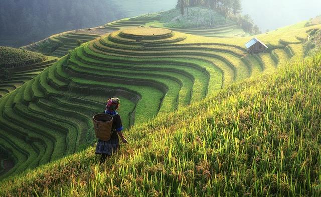 sapa vietnam