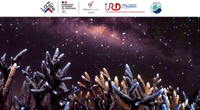 THAÏLANDE – FRANCE: Jusqu’au 12 octobre, l’Alliance Française de Bangkok navigue au grand large