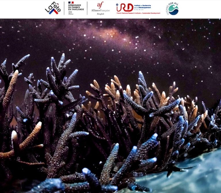 THAÏLANDE – FRANCE: Jusqu’au 12 octobre, l’Alliance Française de Bangkok navigue au grand large