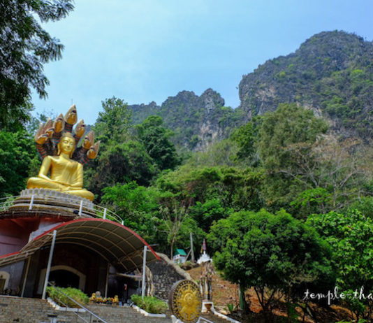 THAÏLANDE – CHRONIQUE : « Mae Sot : Le chant du coq »