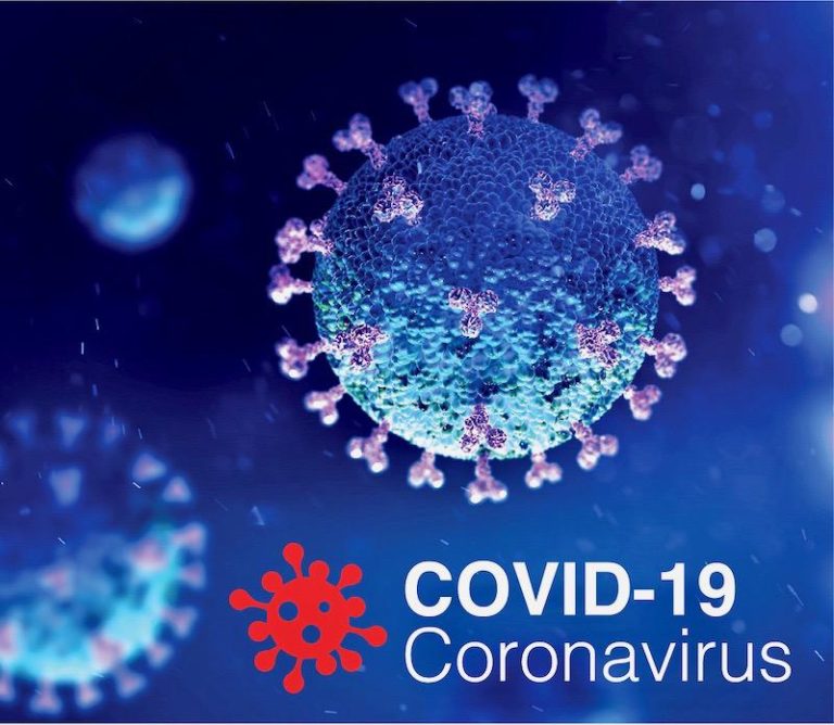 ASIE DU SUD-EST – ÉPIDÉMIE: Le point sur le Coronavirus / Covid 19 au 24 mai