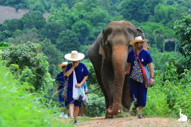 THAÏLANDE – TRADITIONS: Les éléphants «père Noël», une habitude qui interroge