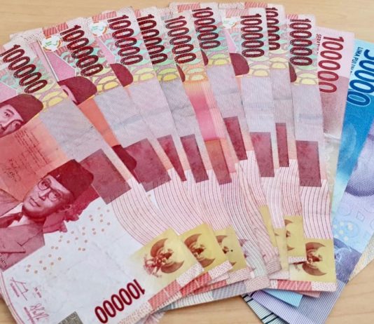 INDONÉSIE – ÉCONOMIE : Un mini-plan de relance aux effets limités sur la croissance