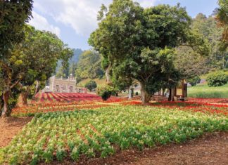 THAÏLANDE – TOURISME: Autour de Chiang, mai, une vadrouille au lac de Mon Jodd Mon Jodd
