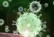 THAÏLANDE – CORONAVIRUS : 59 personnes infectées par le Covid 19 selon les autorités thaïlandaises